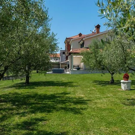 Vista Olivo